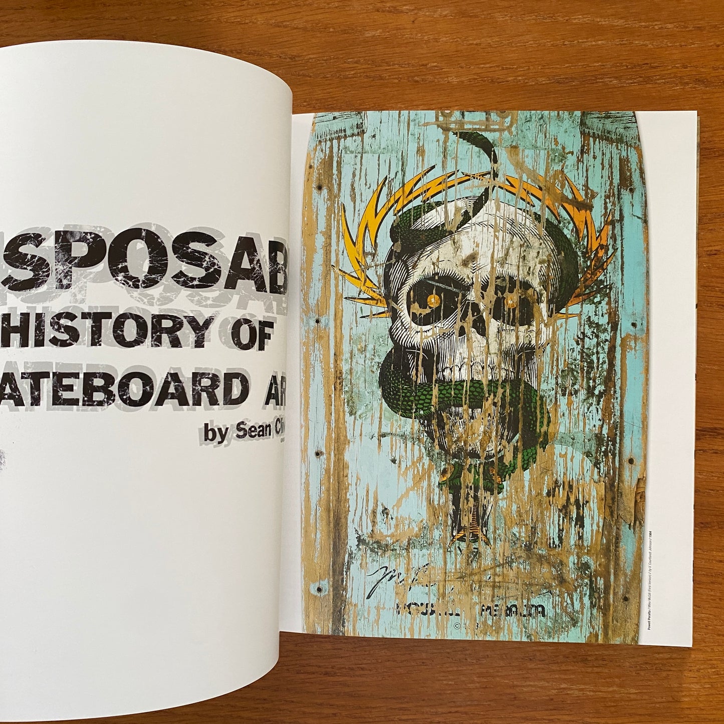 Disposable: A History Of Skateboard Art - Sean Cliver