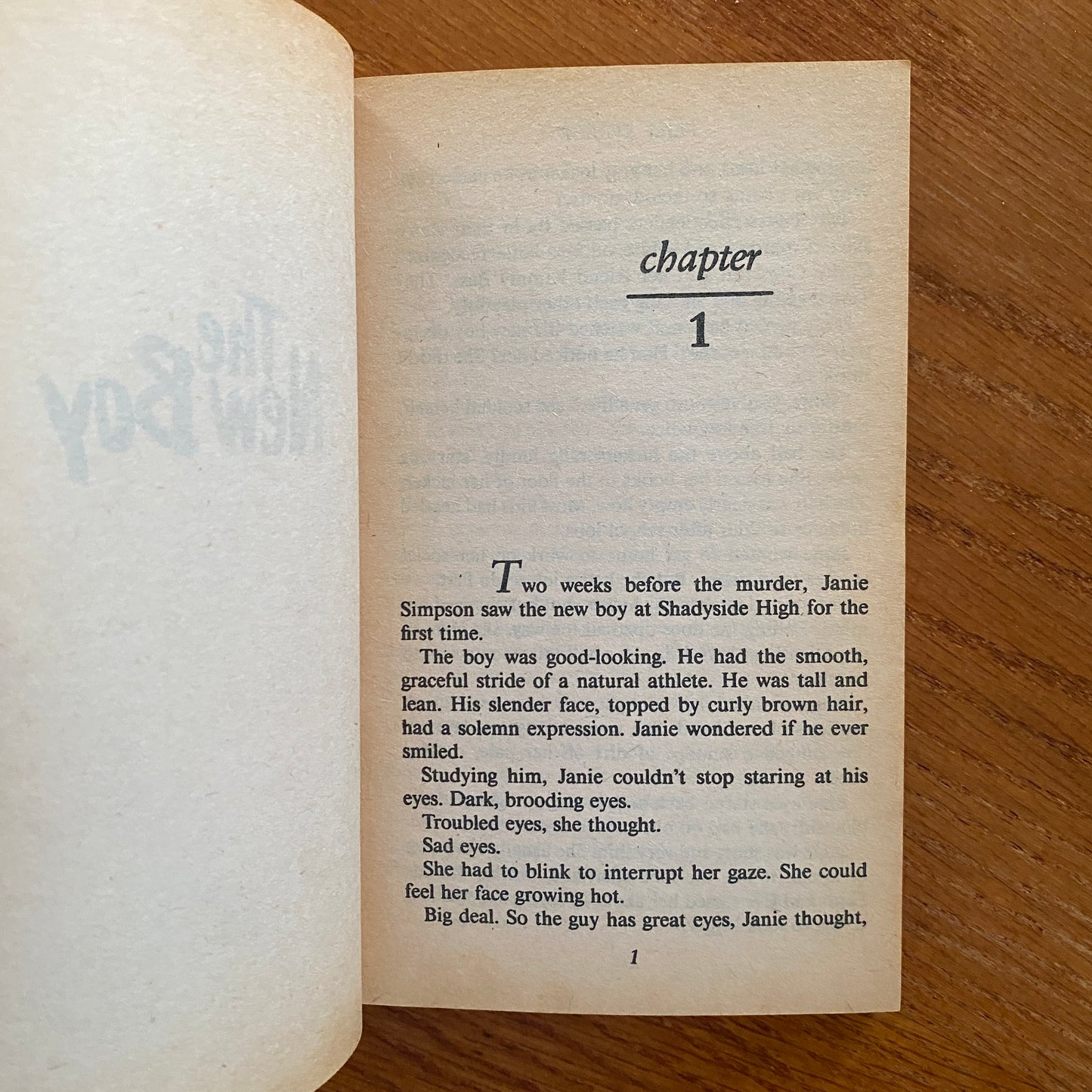 R.L Stine - The New Boy