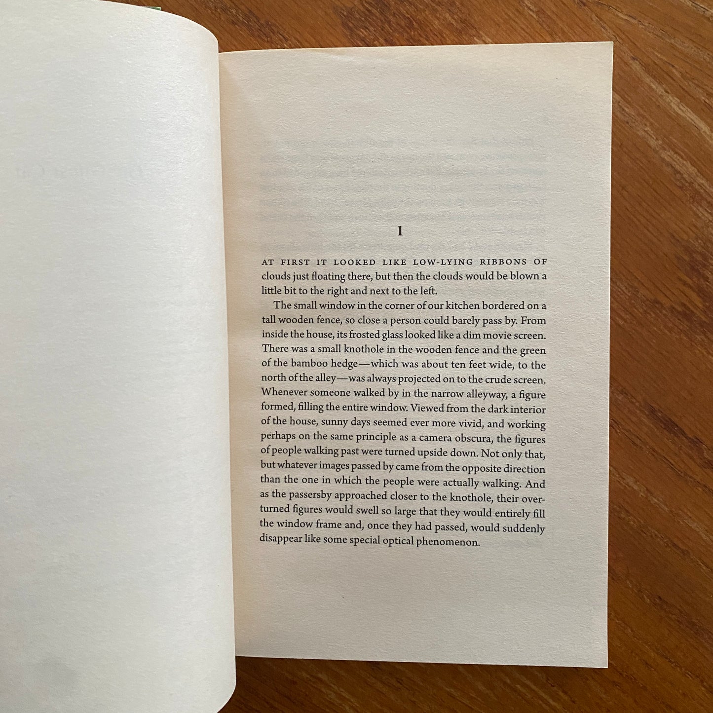 The Guest Cat - Takashi Hiraide