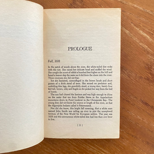 The Searing - John Coyne