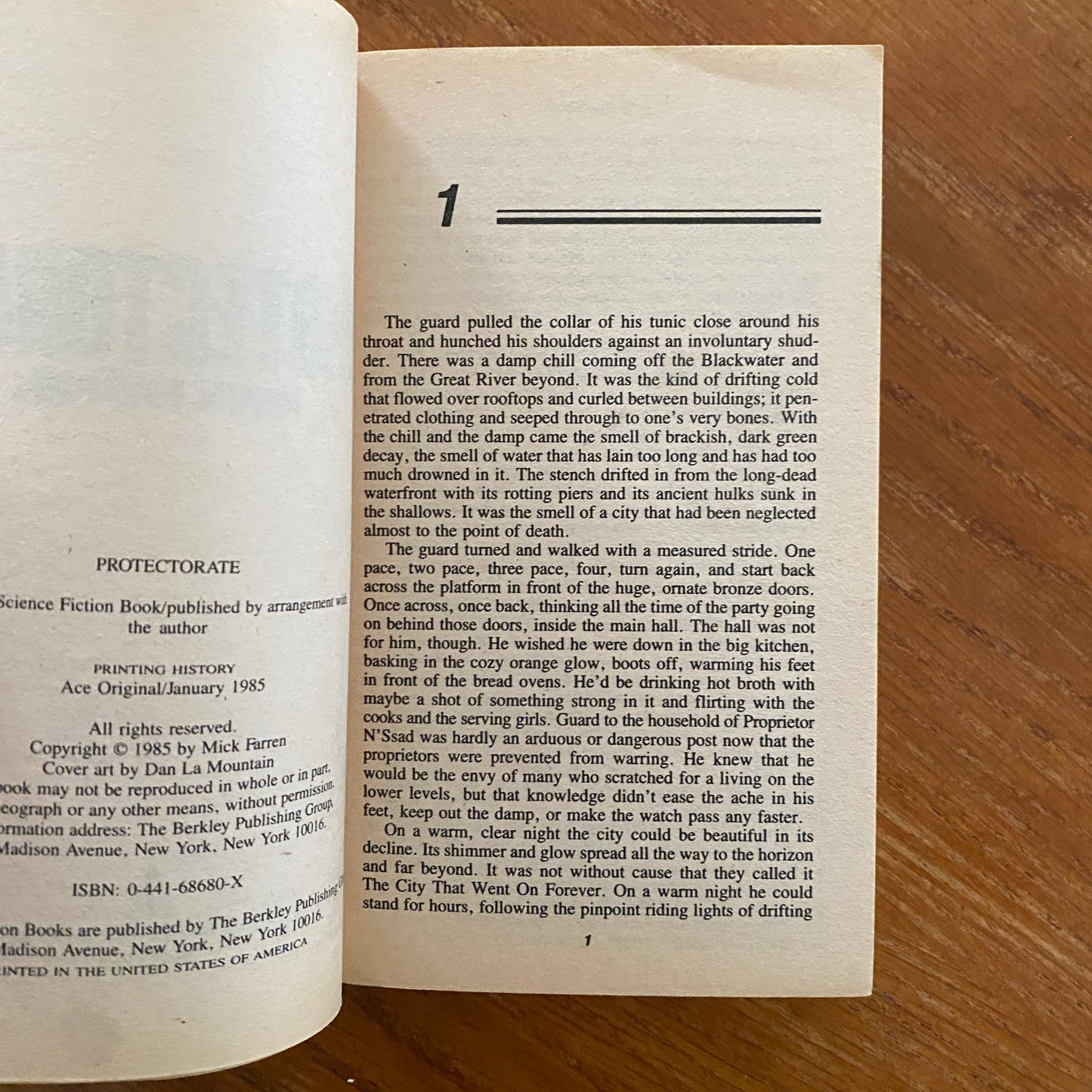 Protectorate - Mick Farren