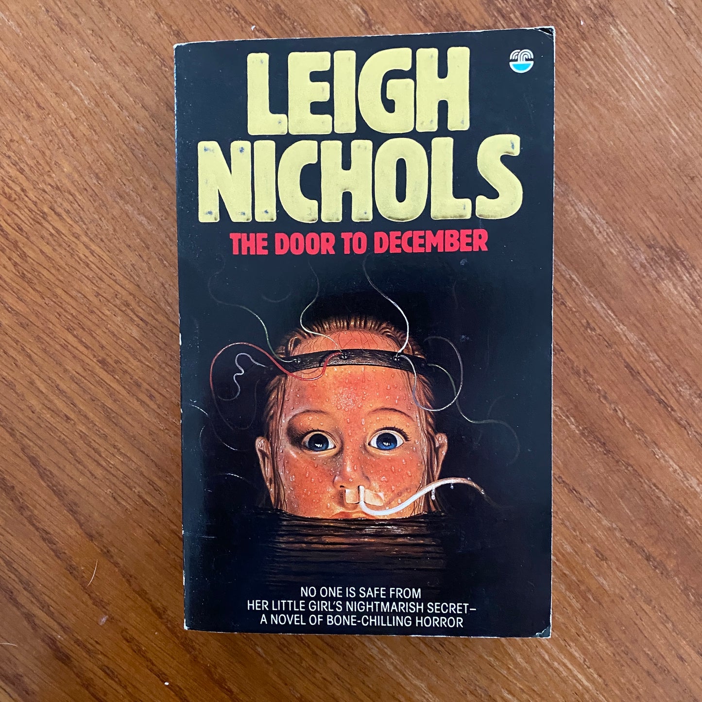 The Door To December - Leigh Nichols