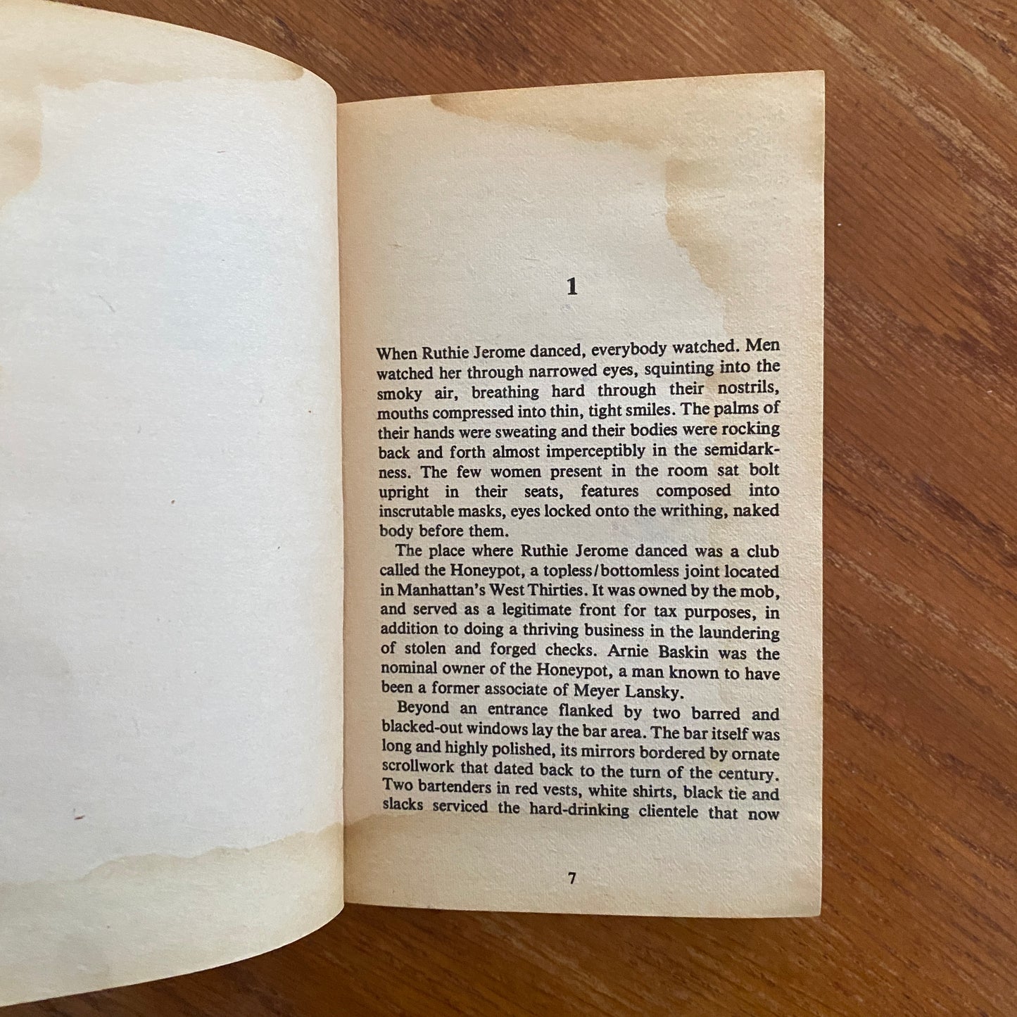 Under The Eye Of Night - Robert E. Mills