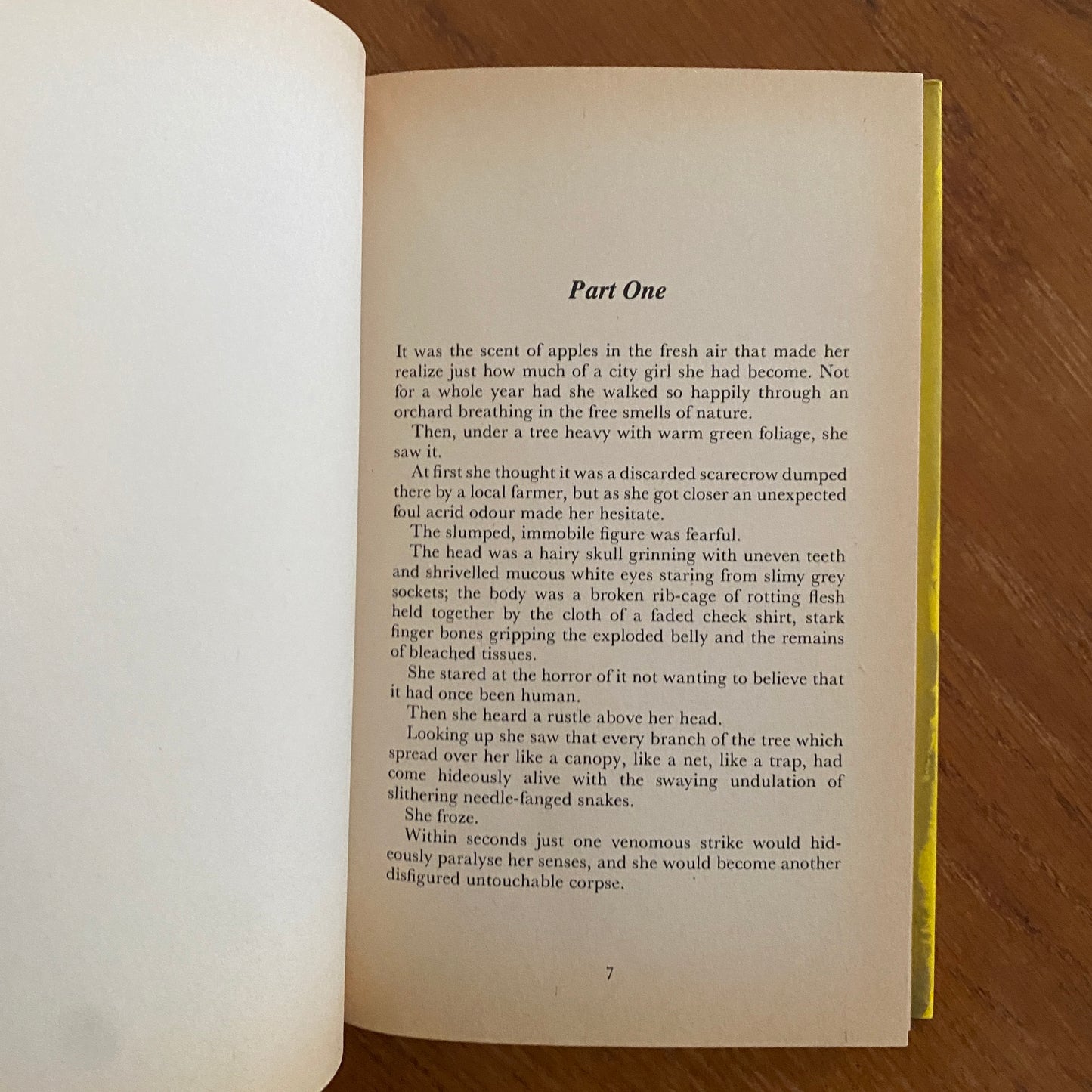 The Snake Orchards - Drew Lamark