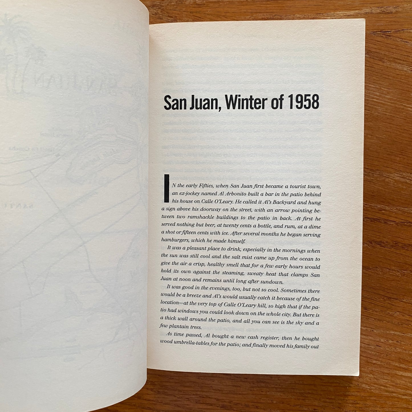 Hunter S. Thompson - The Rum Diary