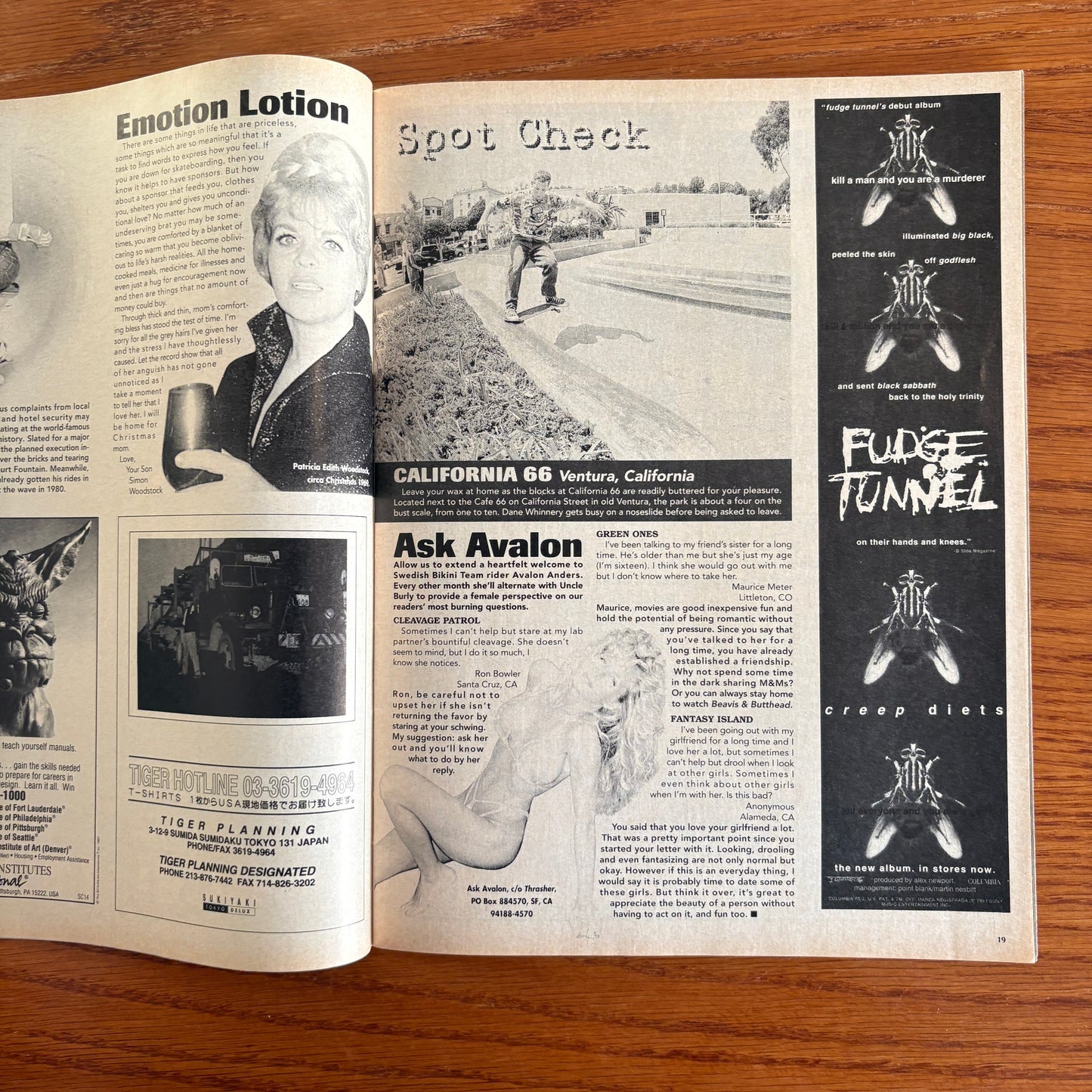 Thrasher Nov 1993
