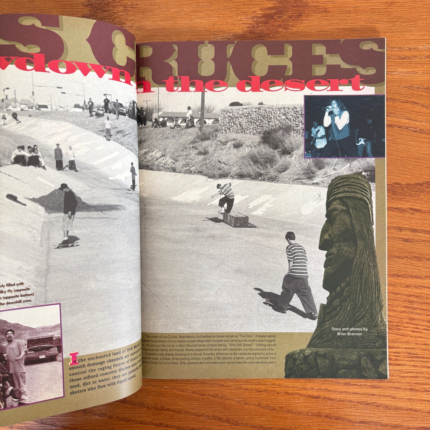 Thrasher May 1993