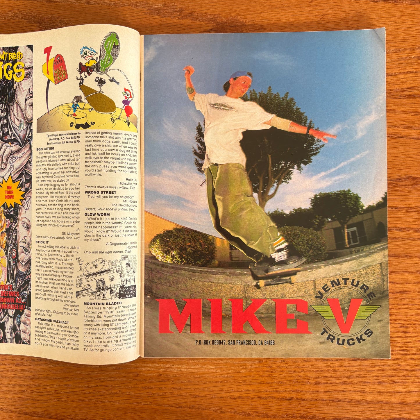 Thrasher Jan 1993
