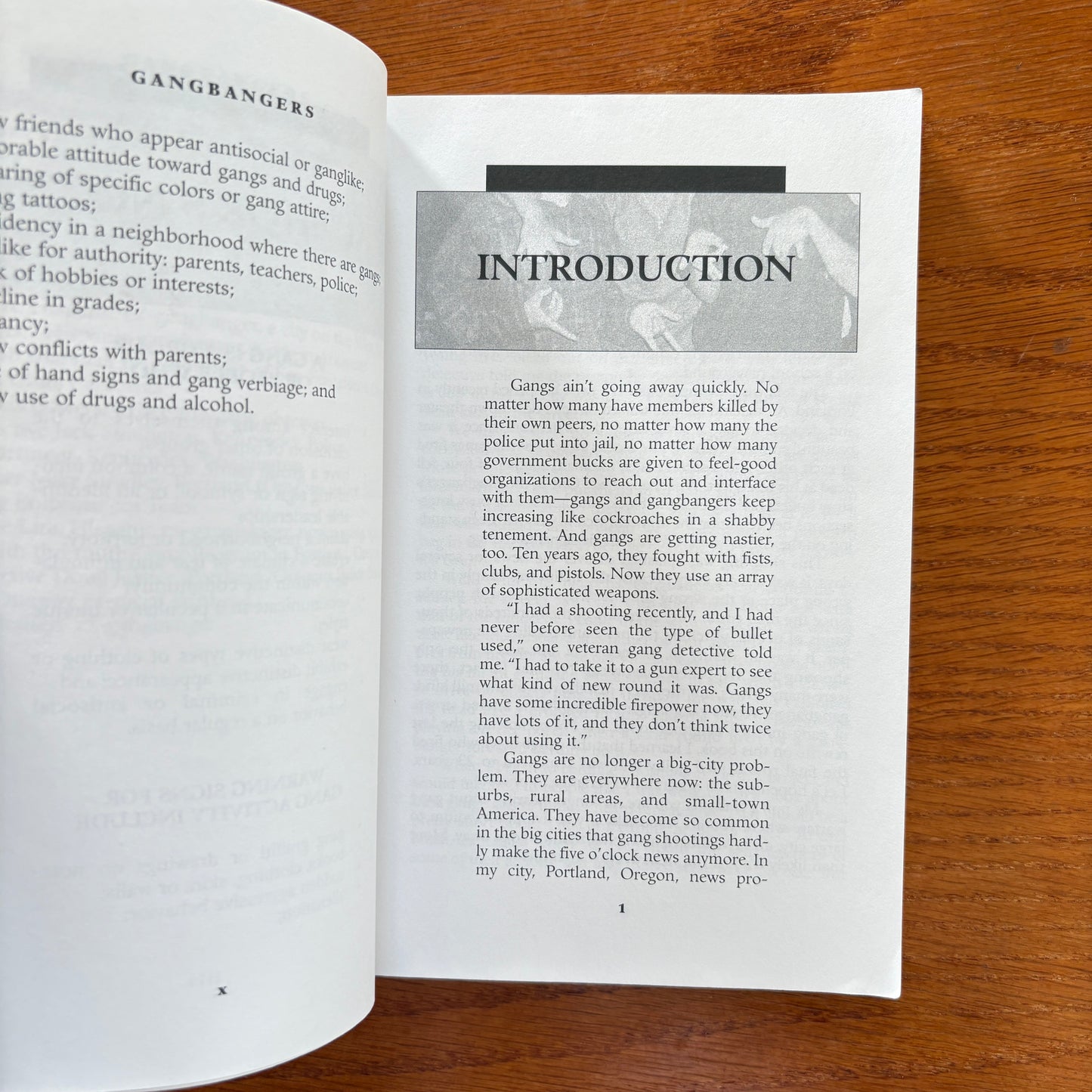 Gangbangers: Understanding the Deadly Minds of America's Street Gangs - Loren W. Christensen