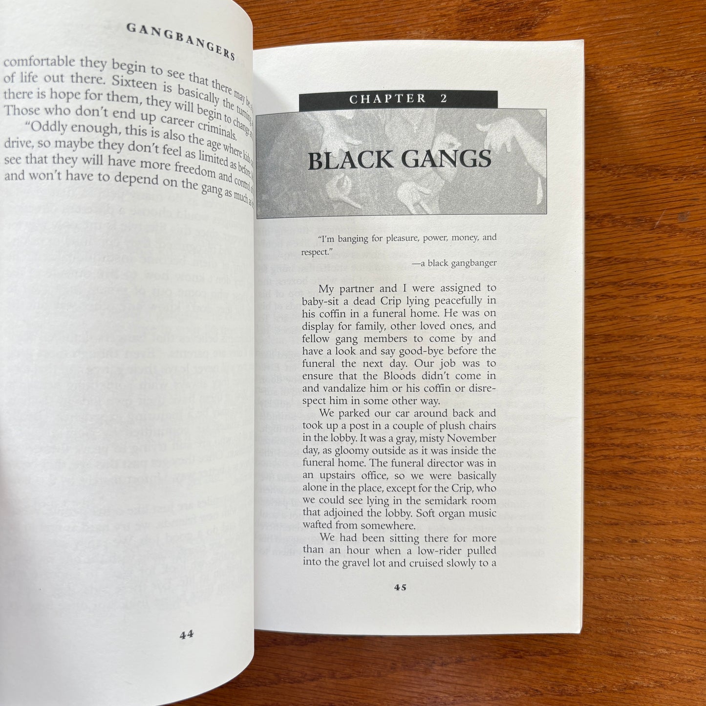 Gangbangers: Understanding the Deadly Minds of America's Street Gangs - Loren W. Christensen