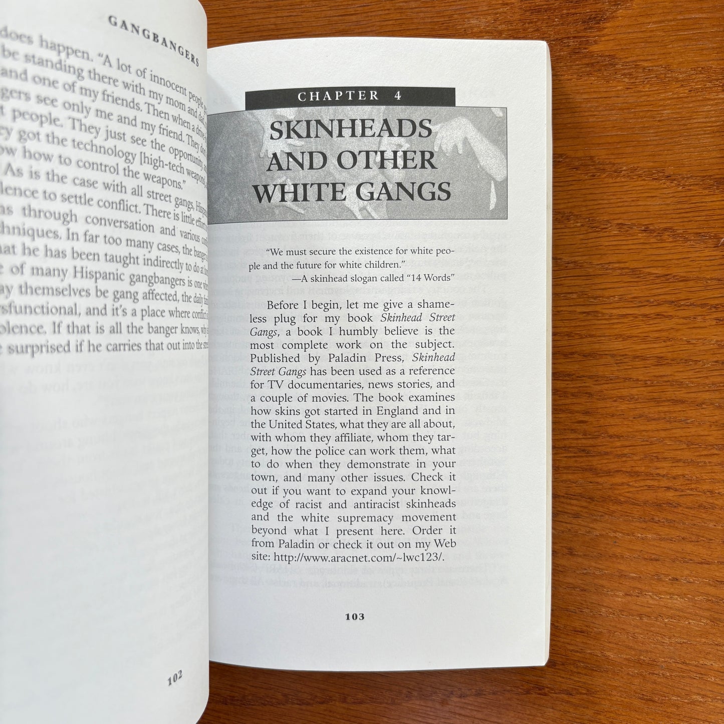 Gangbangers: Understanding the Deadly Minds of America's Street Gangs - Loren W. Christensen