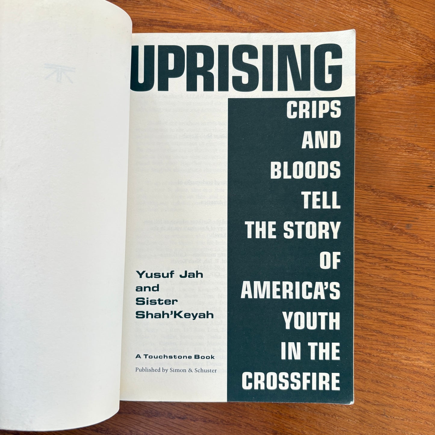 Uprising: Crips and Bloods Tell the Story of America's Youth In The Crossfire - Yusuf Jah & Sister Shah'Keyah