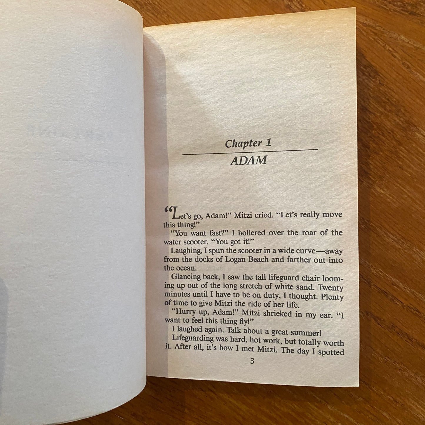 R.L Stine - Fear Street: High Tide