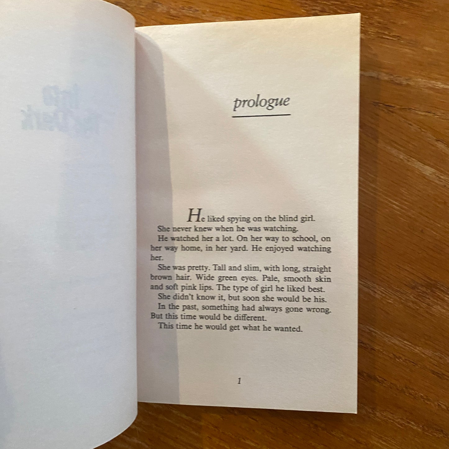 R.L Stine - Fear Street: Into the Dark