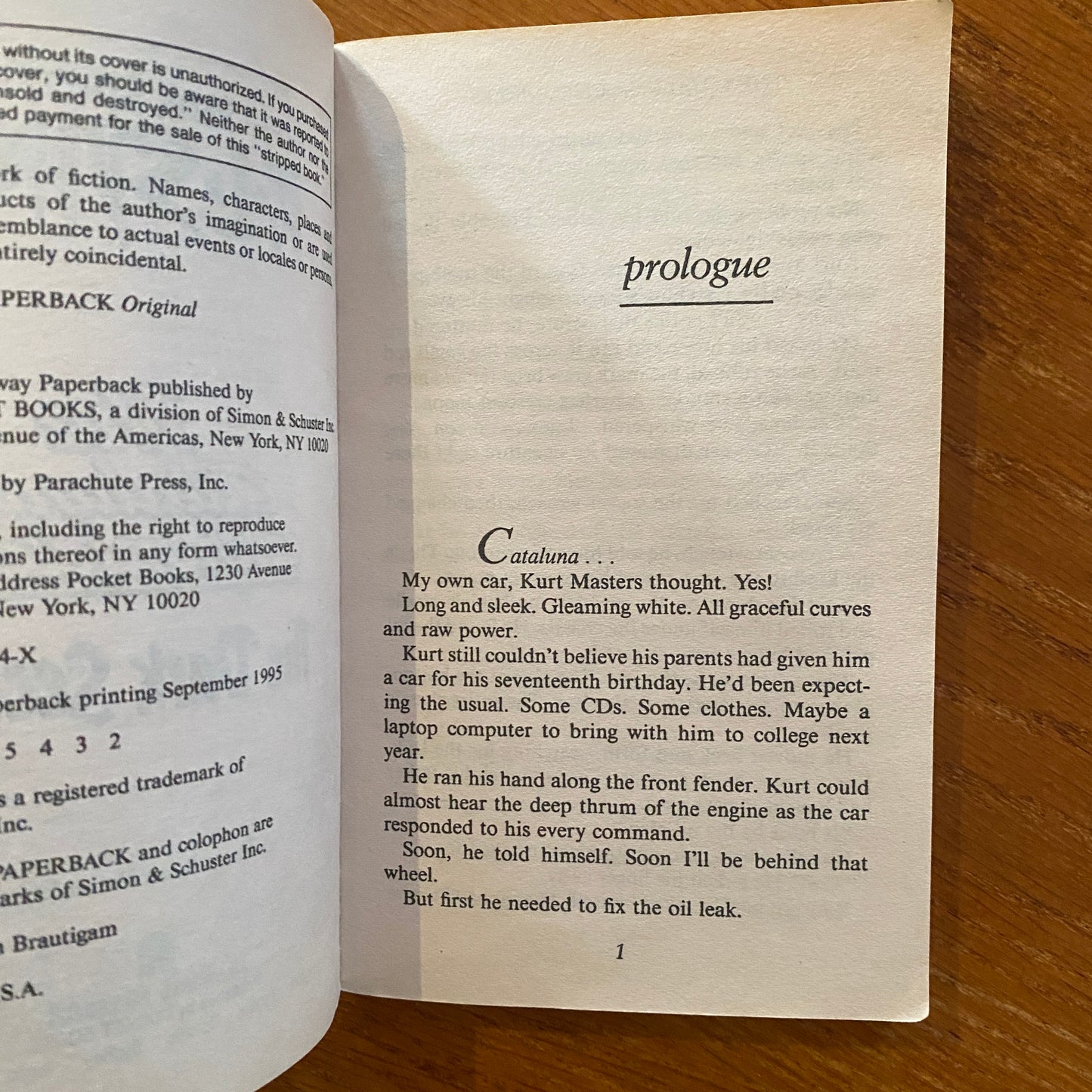 R.L Stine - Fear Street The Catalina Chronicle: The Dark Secret
