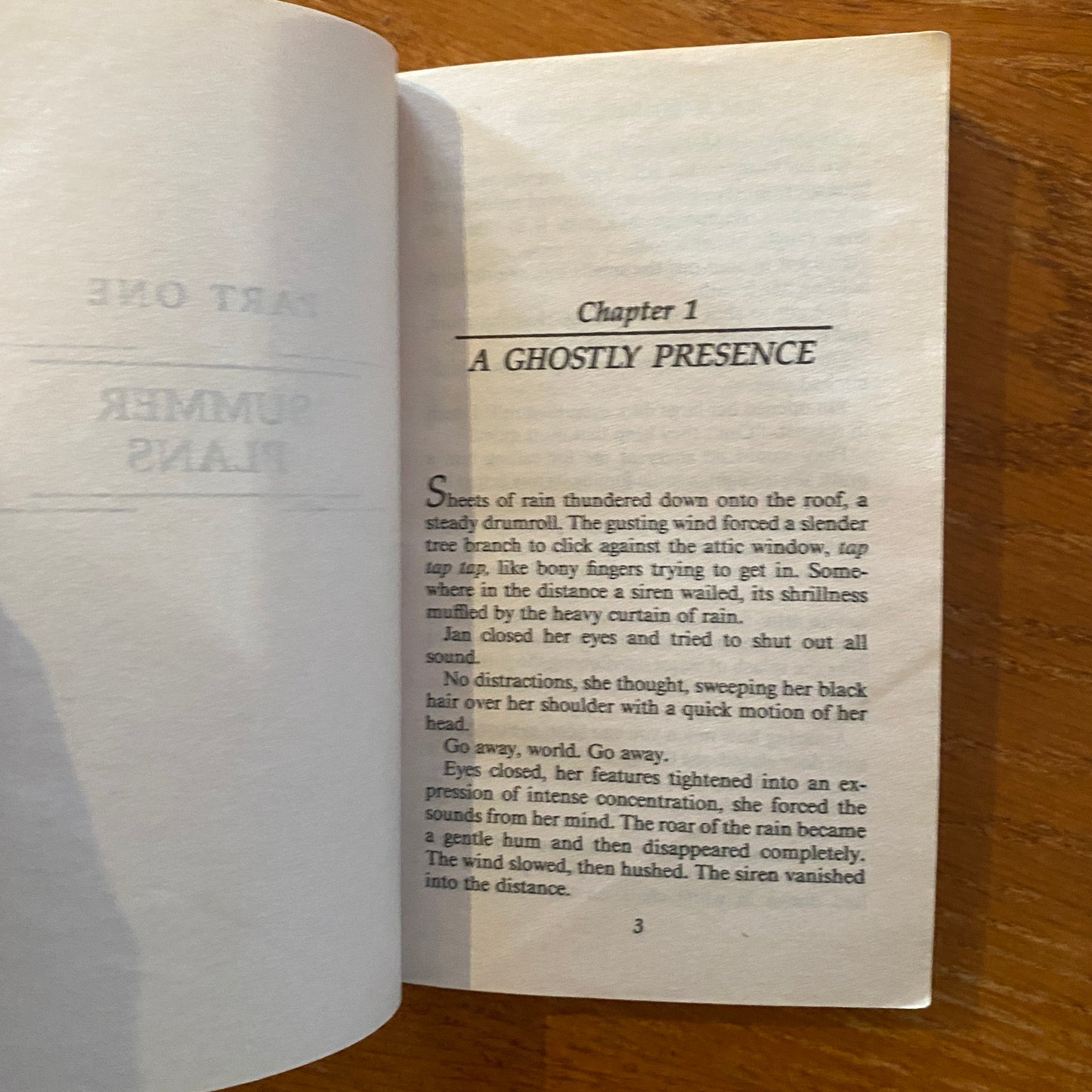 R.L Stine - Fear Street: Party Summer