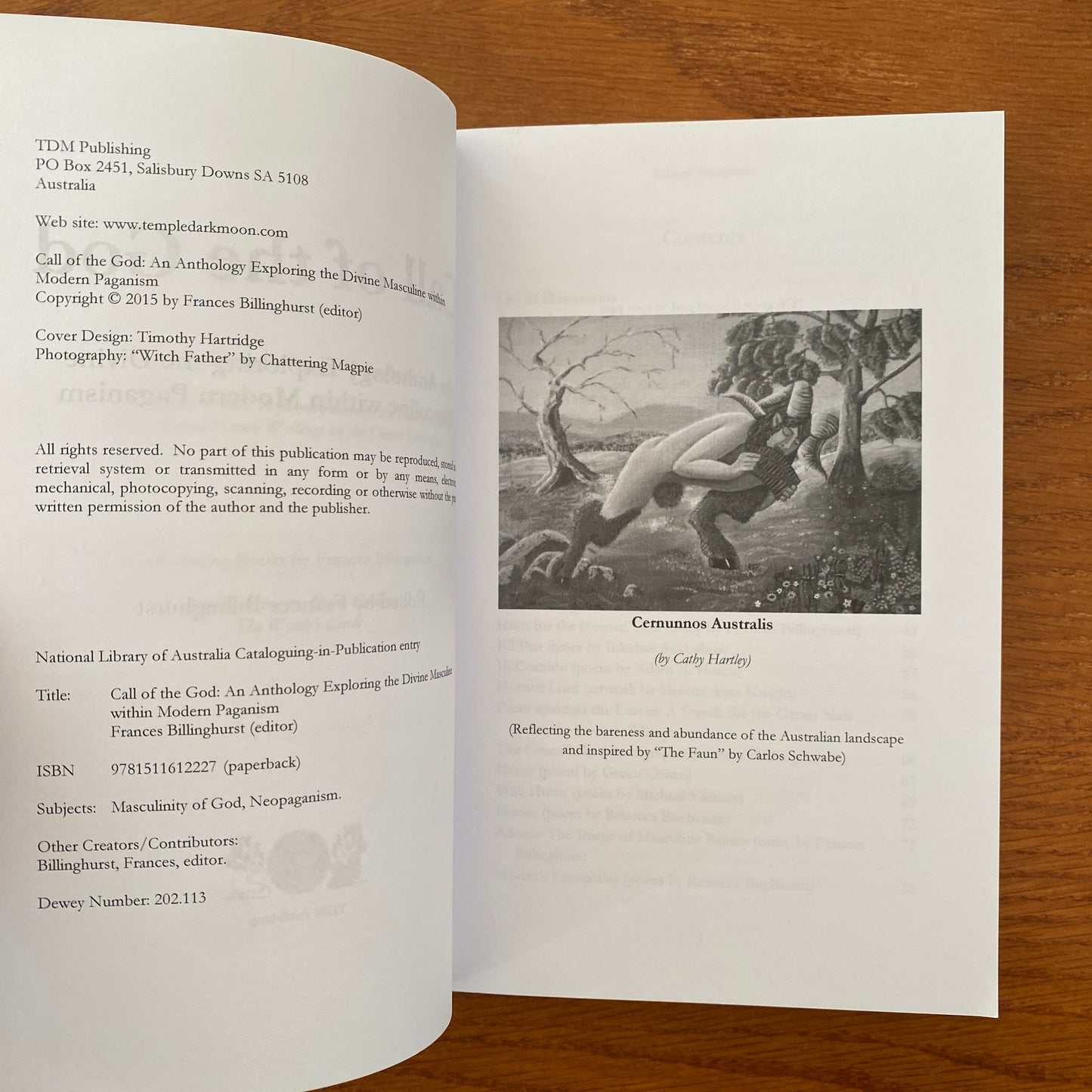 Call Of The God: An Anthology Exploring the Divine Masculine within Modern Paganism - Frances Billinghurst