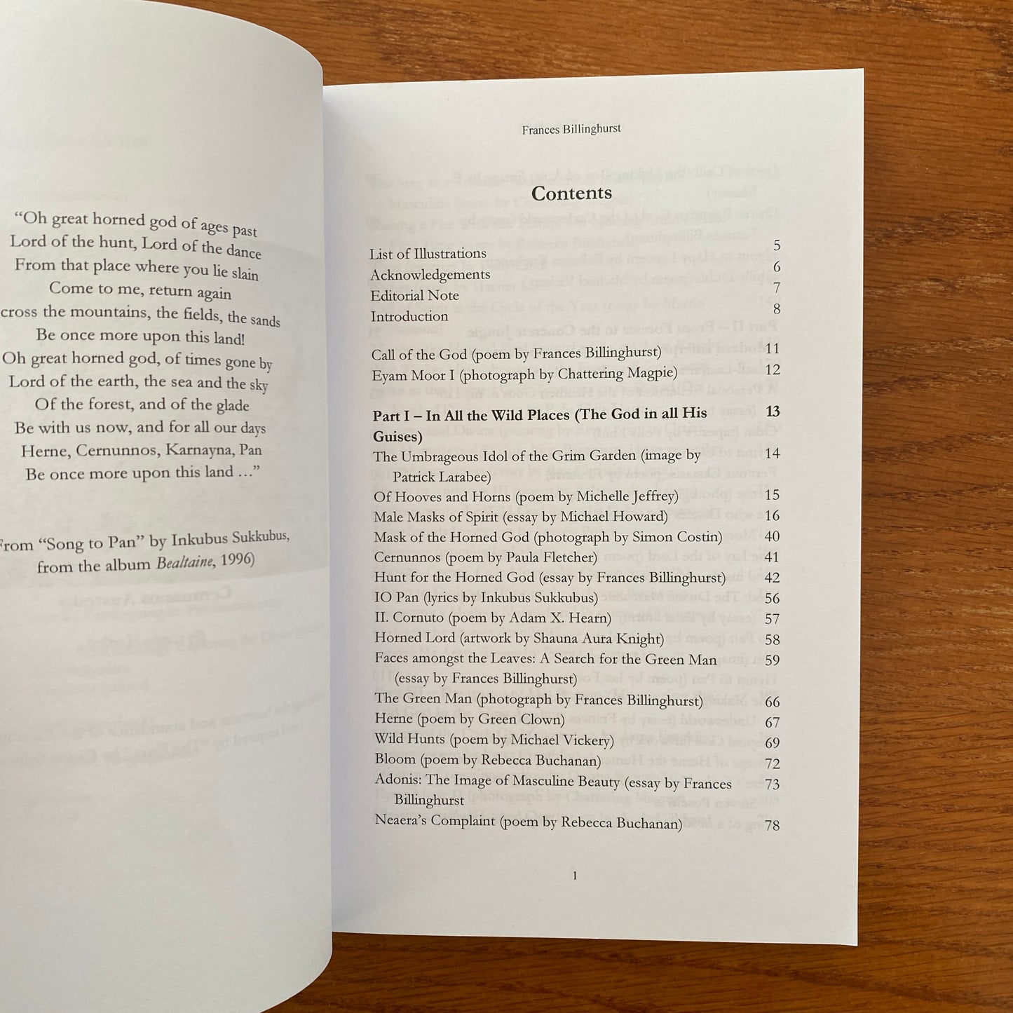 Call Of The God: An Anthology Exploring the Divine Masculine within Modern Paganism - Frances Billinghurst