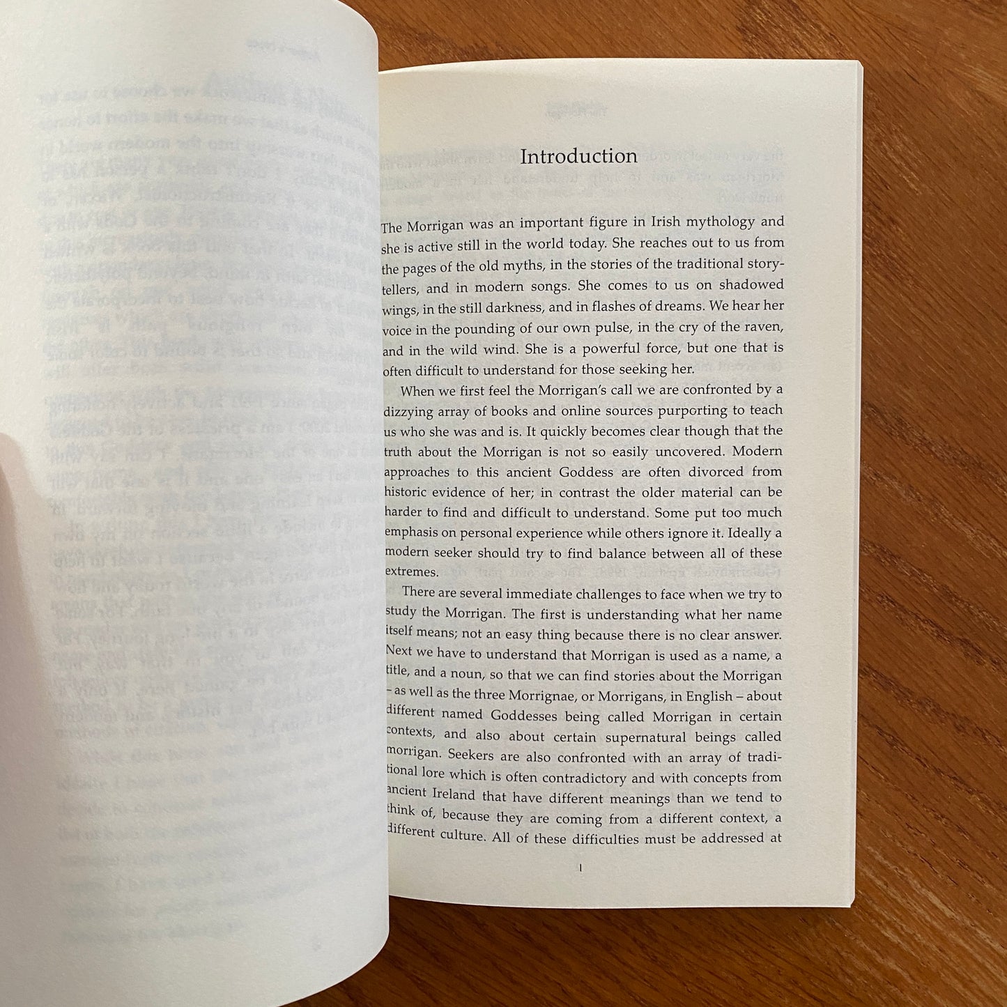 The Morrigan - Morgan Dailmer