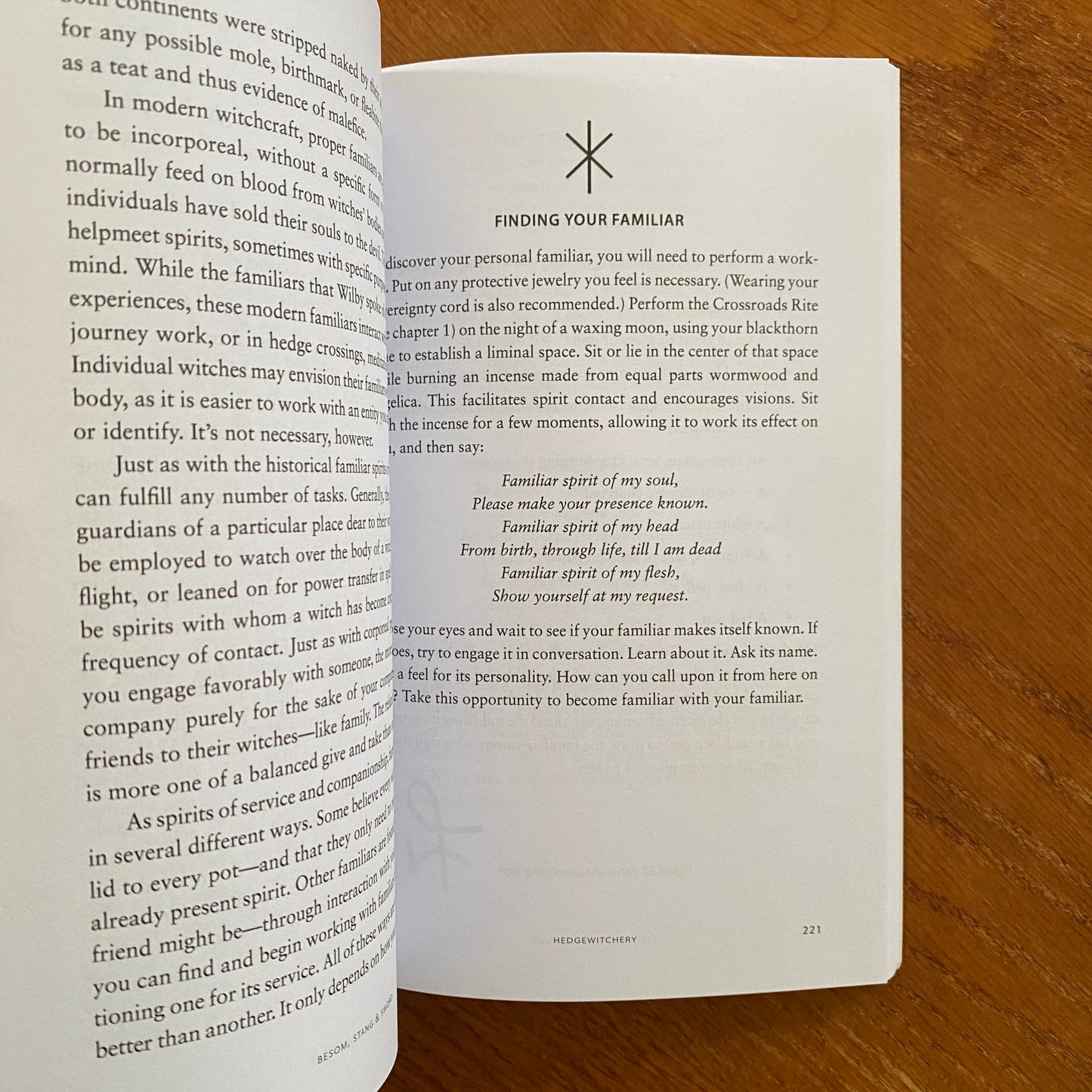 Besom, Stang & Sword: A Guide to Traditional Witchcraft, the Six-Fold Path & the Hidden Landscape - Christopher Orapello & Tara-Love Maguire