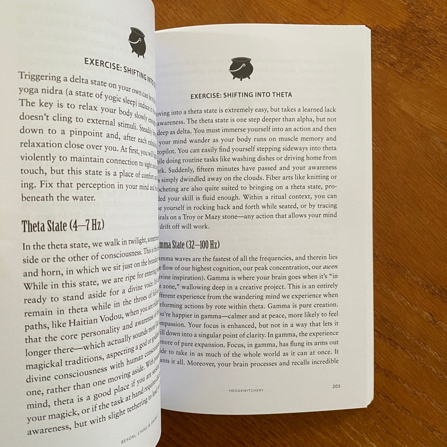 Besom, Stang & Sword: A Guide to Traditional Witchcraft, the Six-Fold Path & the Hidden Landscape - Christopher Orapello & Tara-Love Maguire