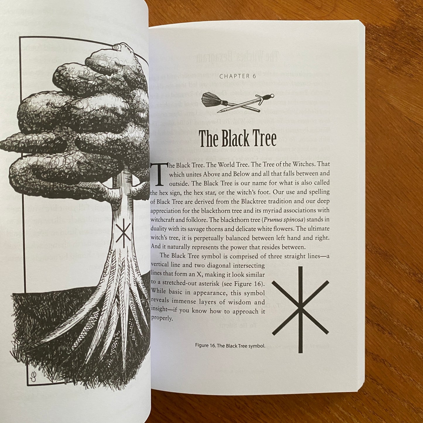 Besom, Stang & Sword: A Guide to Traditional Witchcraft, the Six-Fold Path & the Hidden Landscape - Christopher Orapello & Tara-Love Maguire