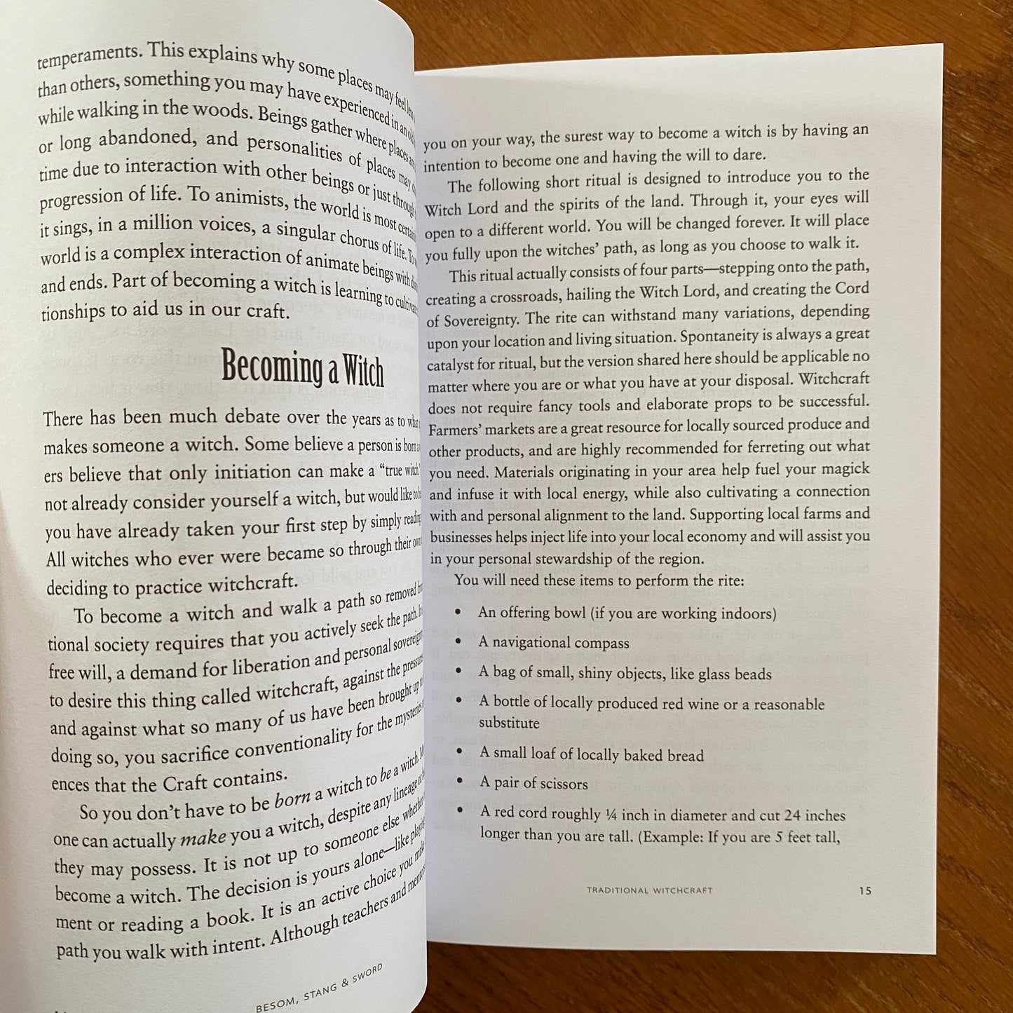 Besom, Stang & Sword: A Guide to Traditional Witchcraft, the Six-Fold Path & the Hidden Landscape - Christopher Orapello & Tara-Love Maguire