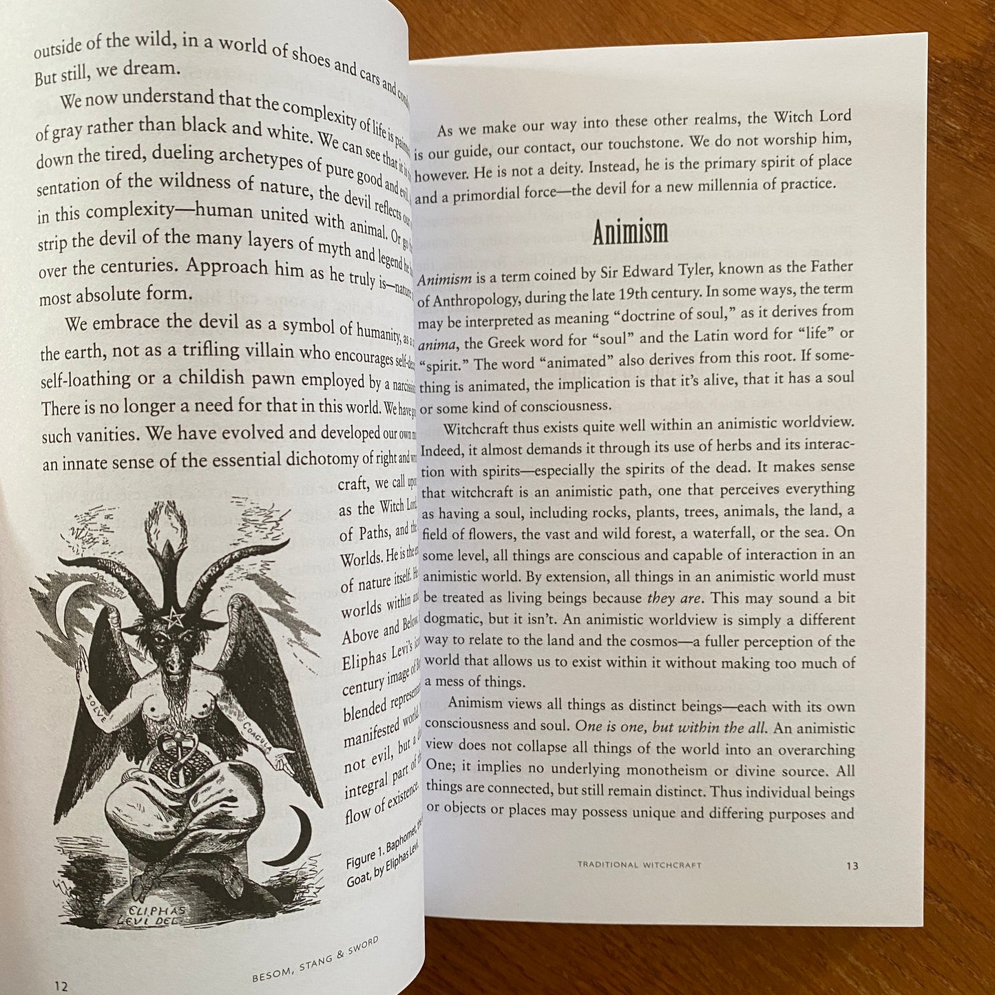 Besom, Stang & Sword: A Guide to Traditional Witchcraft, the Six-Fold Path & the Hidden Landscape - Christopher Orapello & Tara-Love Maguire