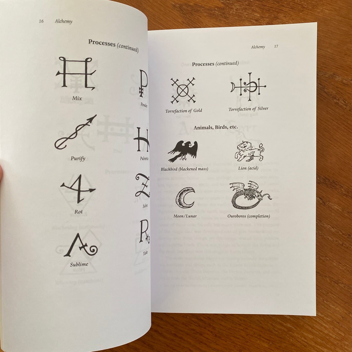 Signs, Symbols & Omens - Richard Buckland