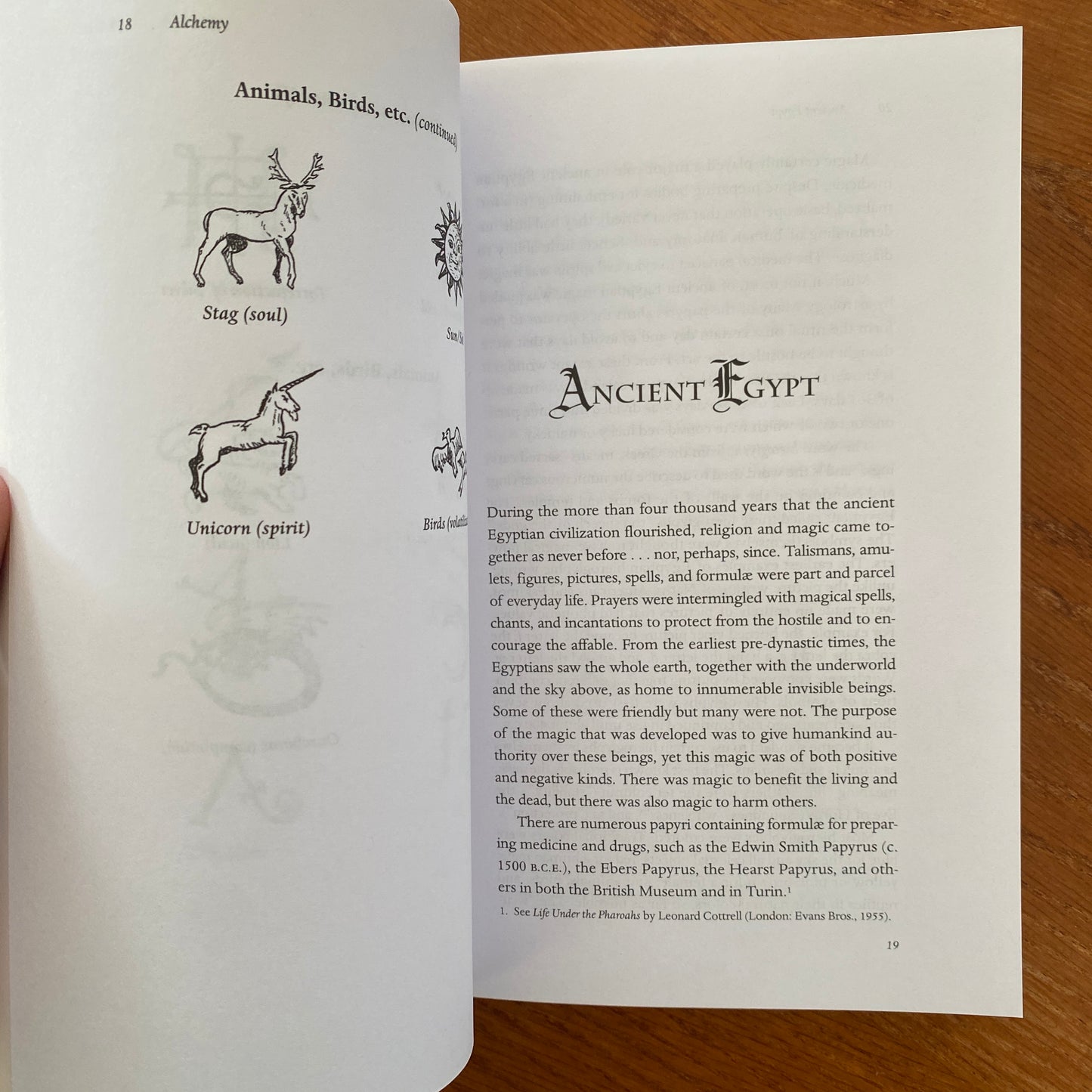 Signs, Symbols & Omens - Richard Buckland