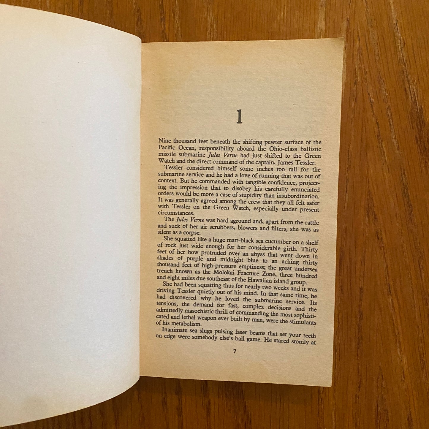 Megalodon - Robin Brown