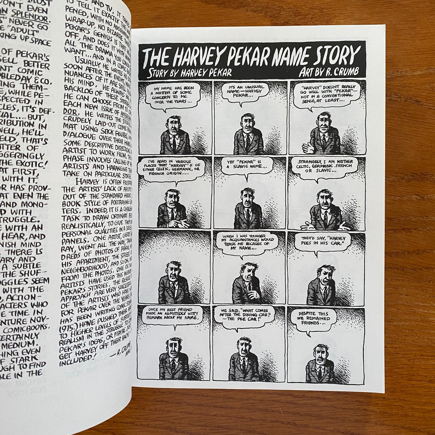 American Splendor: The Life and Times of Harvey Pekar - Harvey Pekar