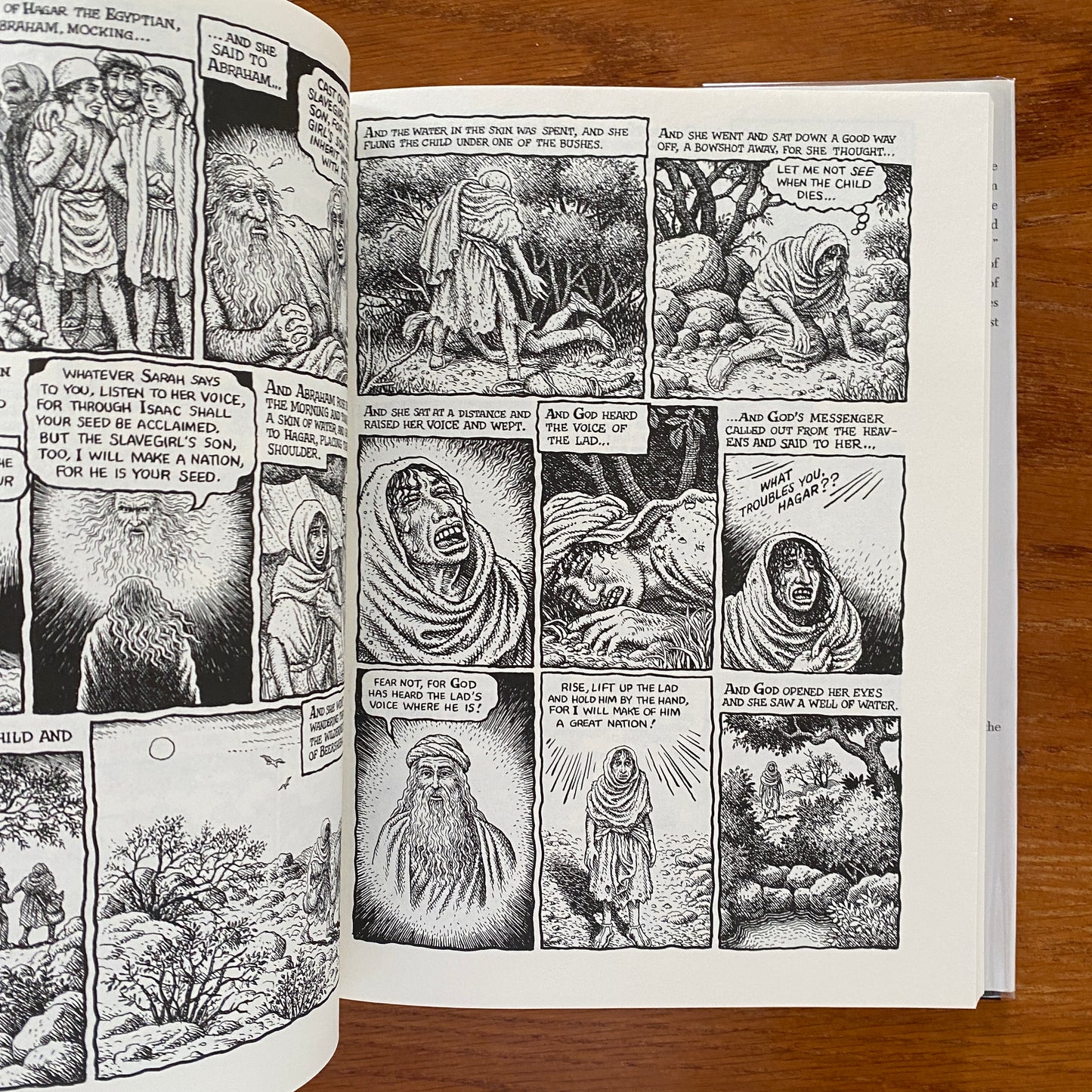 The Book of Genesis Illustrated - Robert Crumb