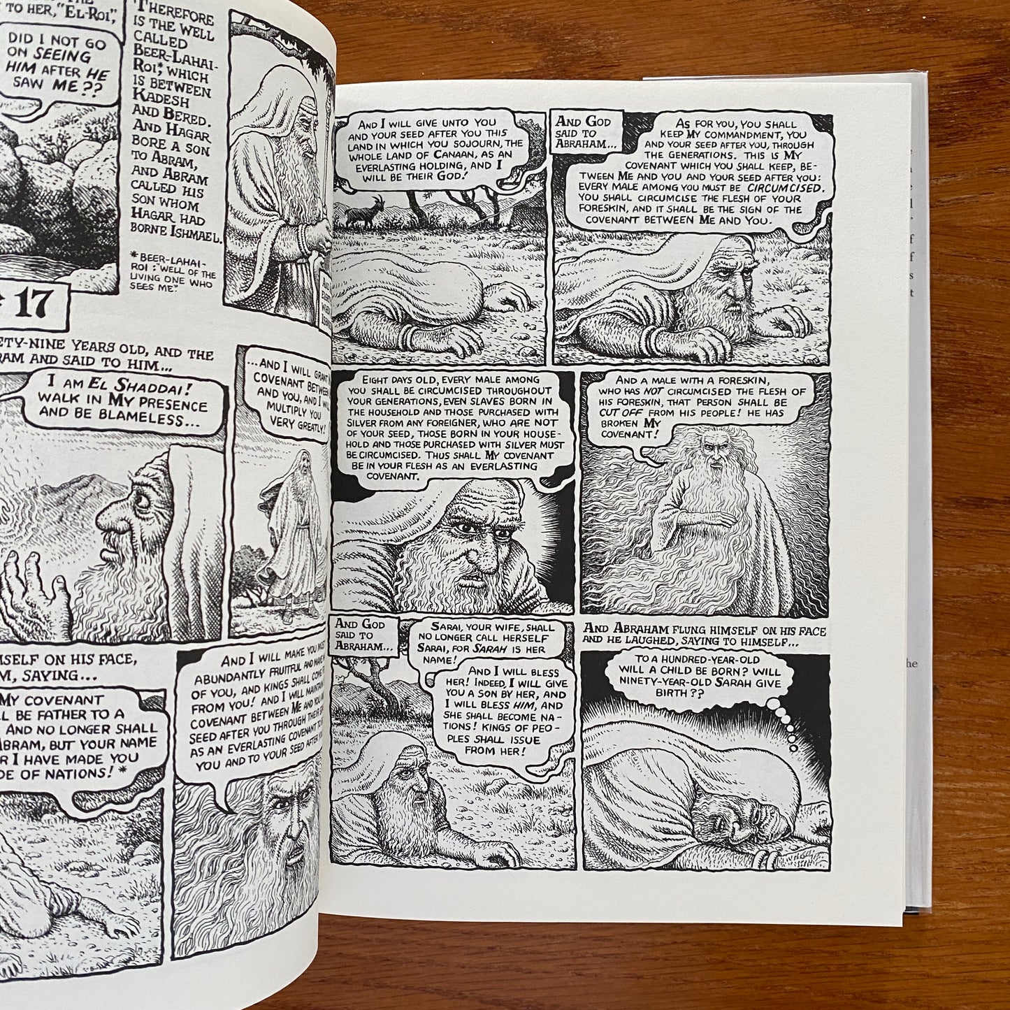 The Book of Genesis Illustrated - Robert Crumb