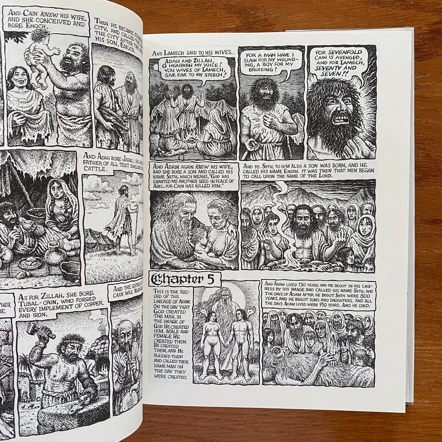 The Book of Genesis Illustrated - Robert Crumb