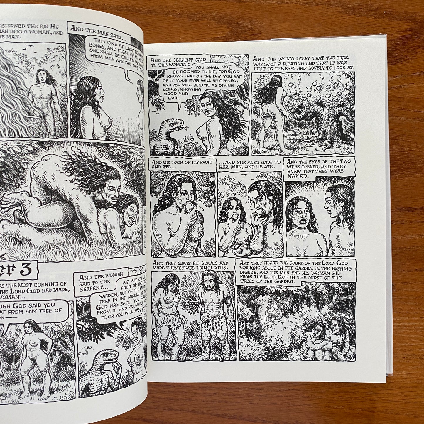 The Book of Genesis Illustrated - Robert Crumb