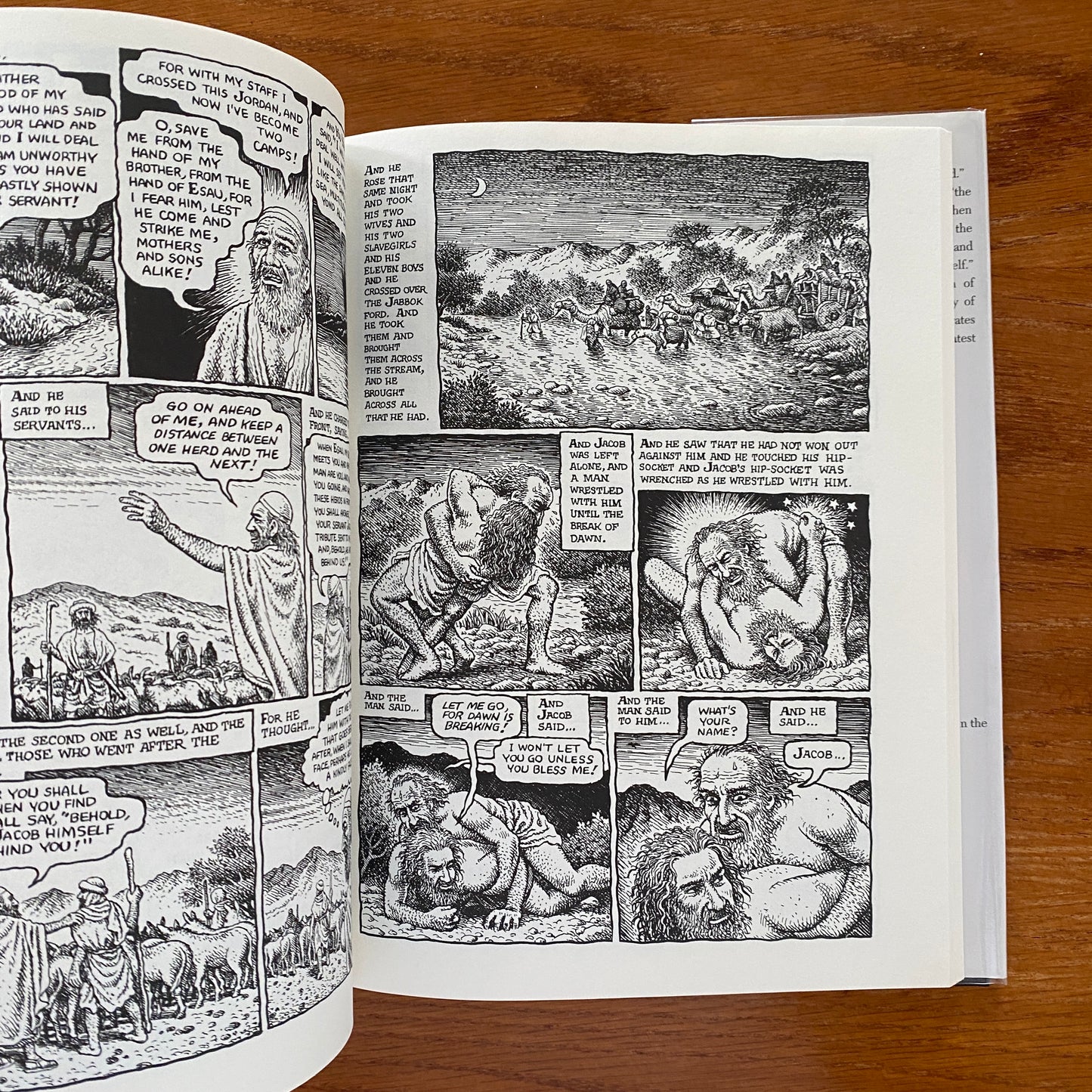 The Book of Genesis Illustrated - Robert Crumb