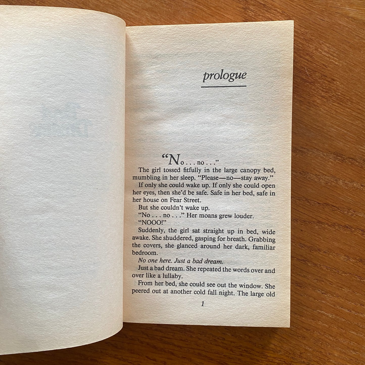 R.L Stine - Fear Street: Bad Dreams