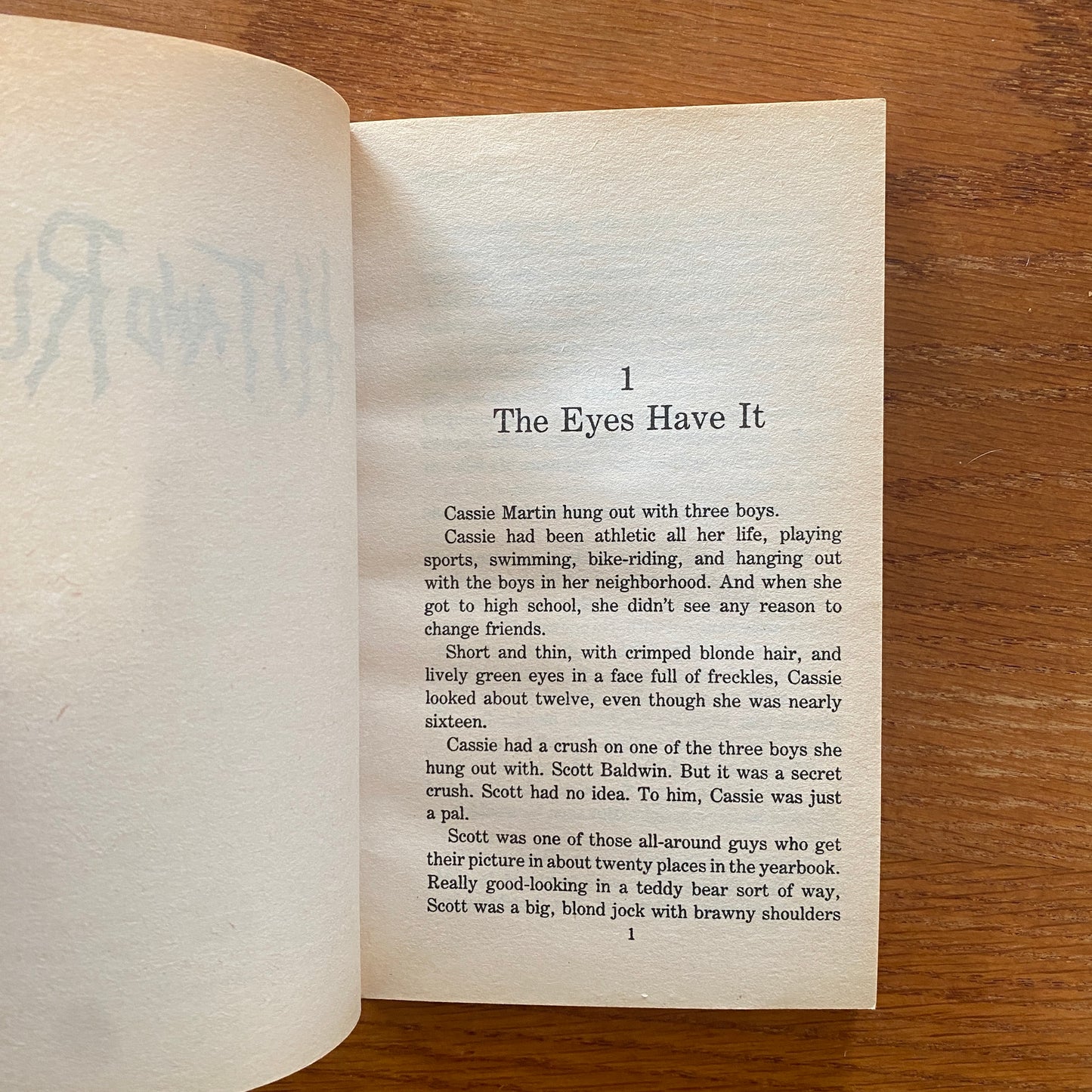 R.L Stine - Hit And Run