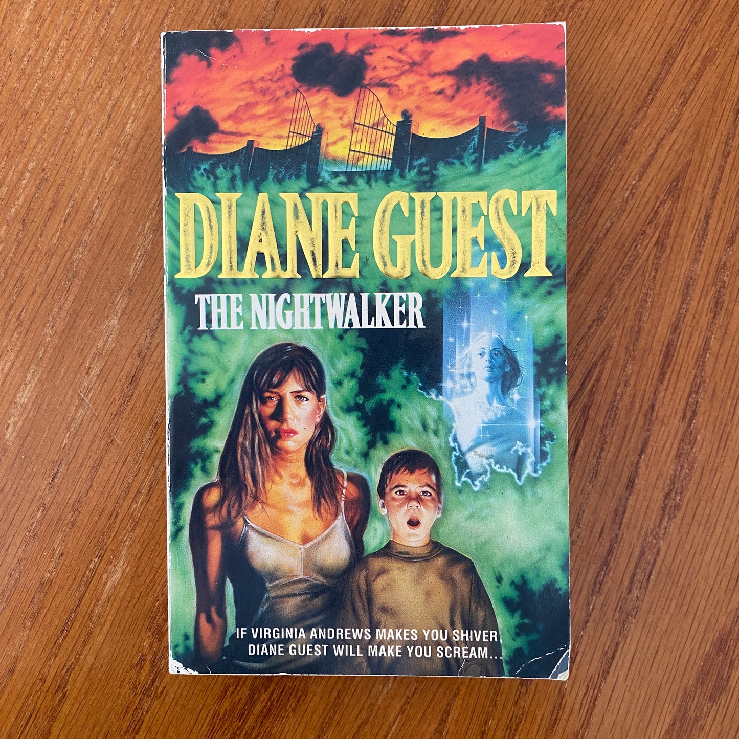 The Nightwalker - Diane Guest