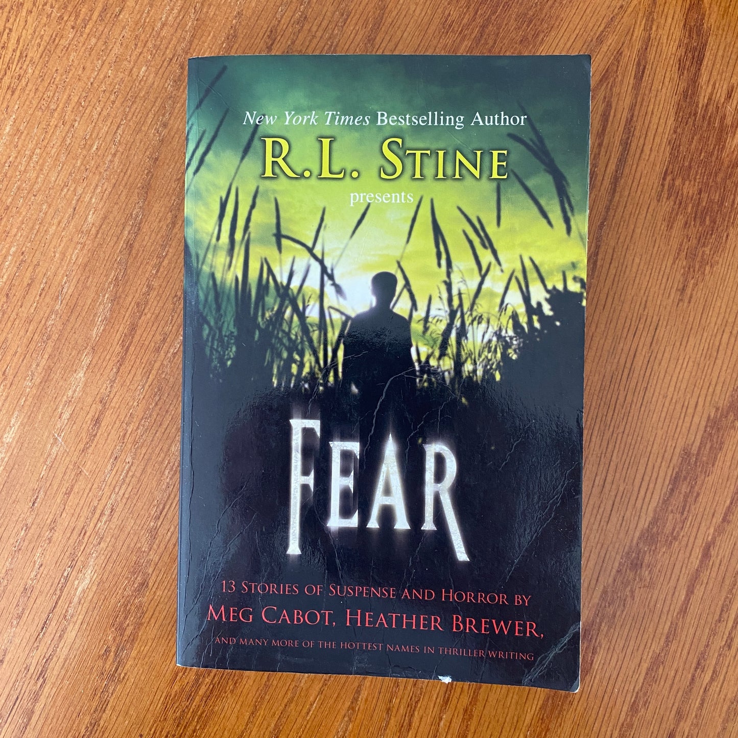 R.L Stine - Fear