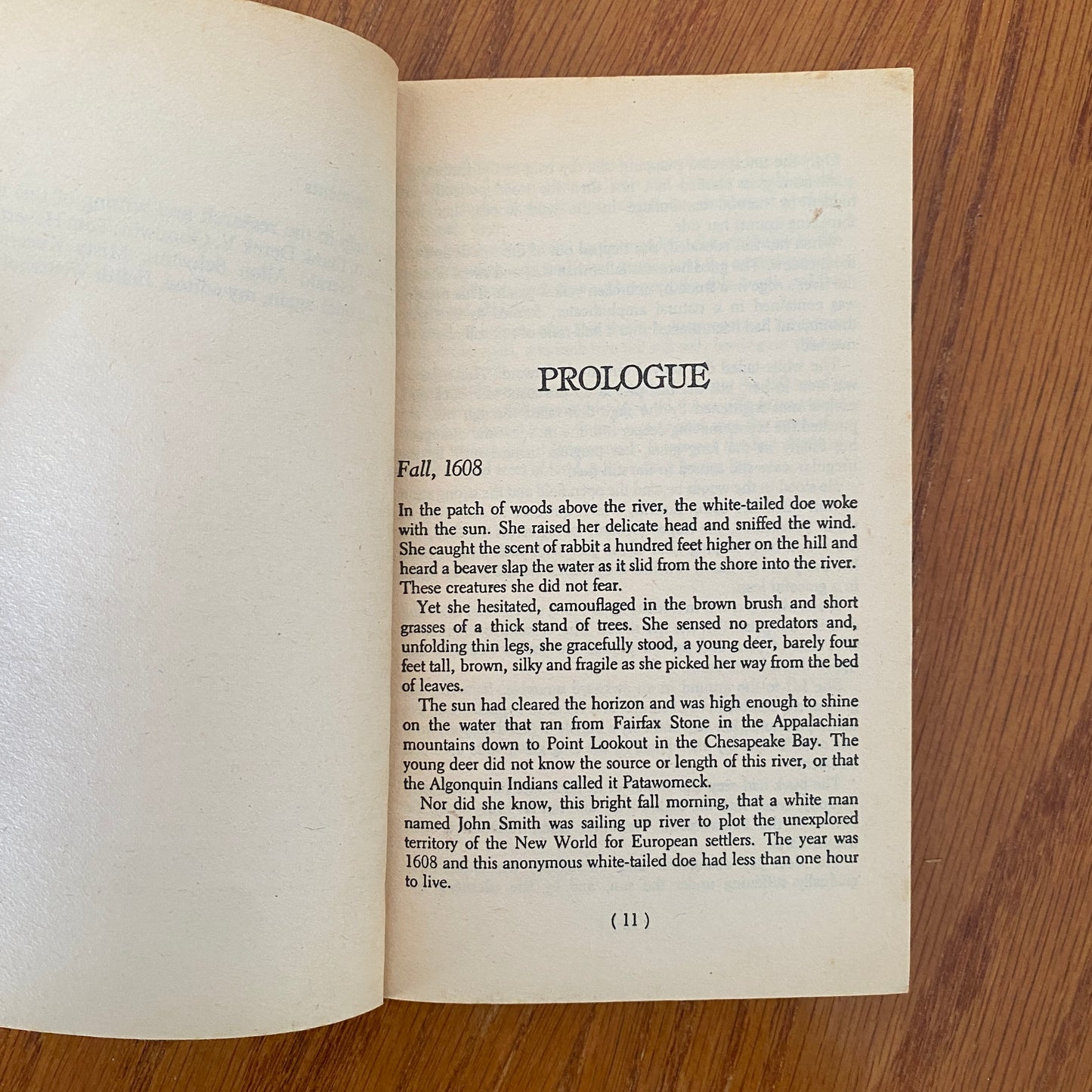 The Searing - John Coyne