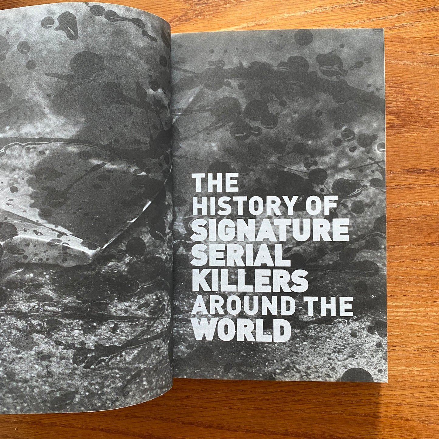 The Mutilator - Paul B. Kidd