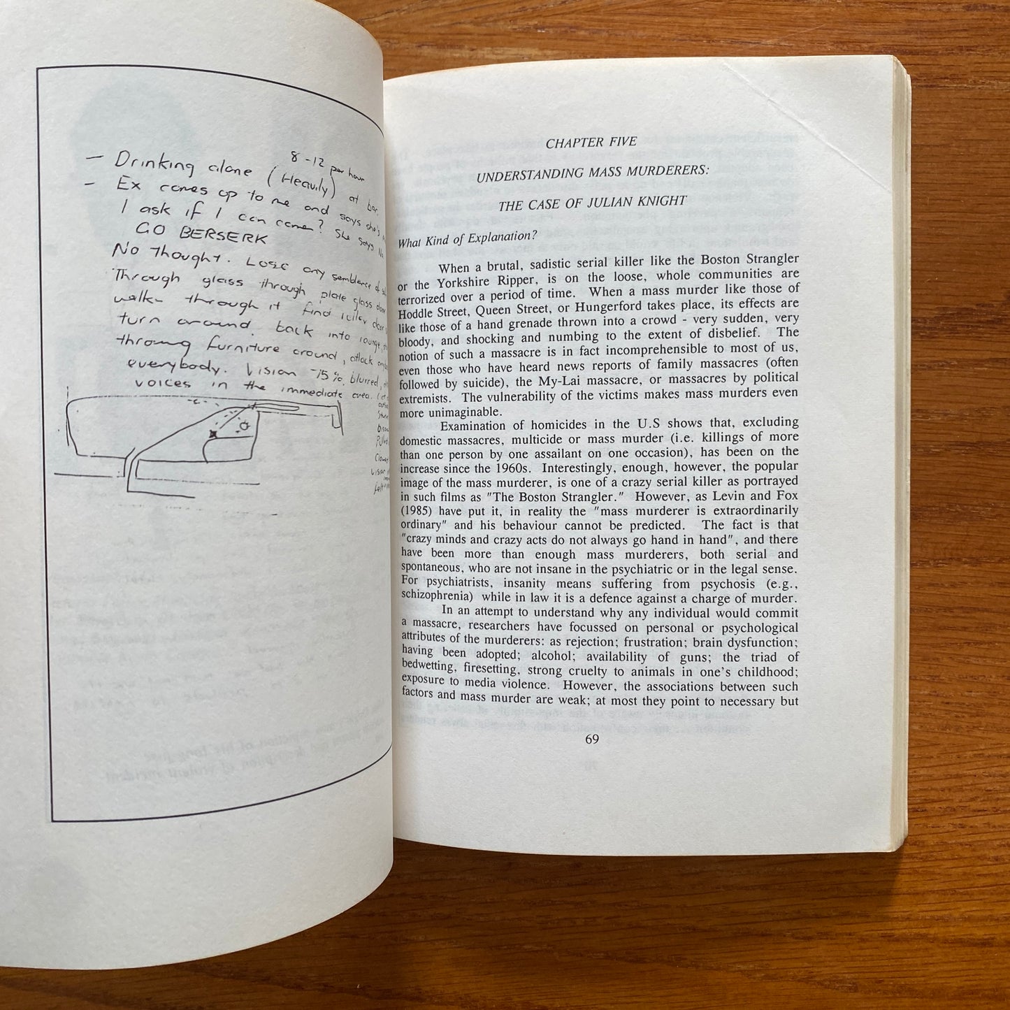 They Wrought Mayhem: An Insight Into Mass Murder - Andreas Kapardis