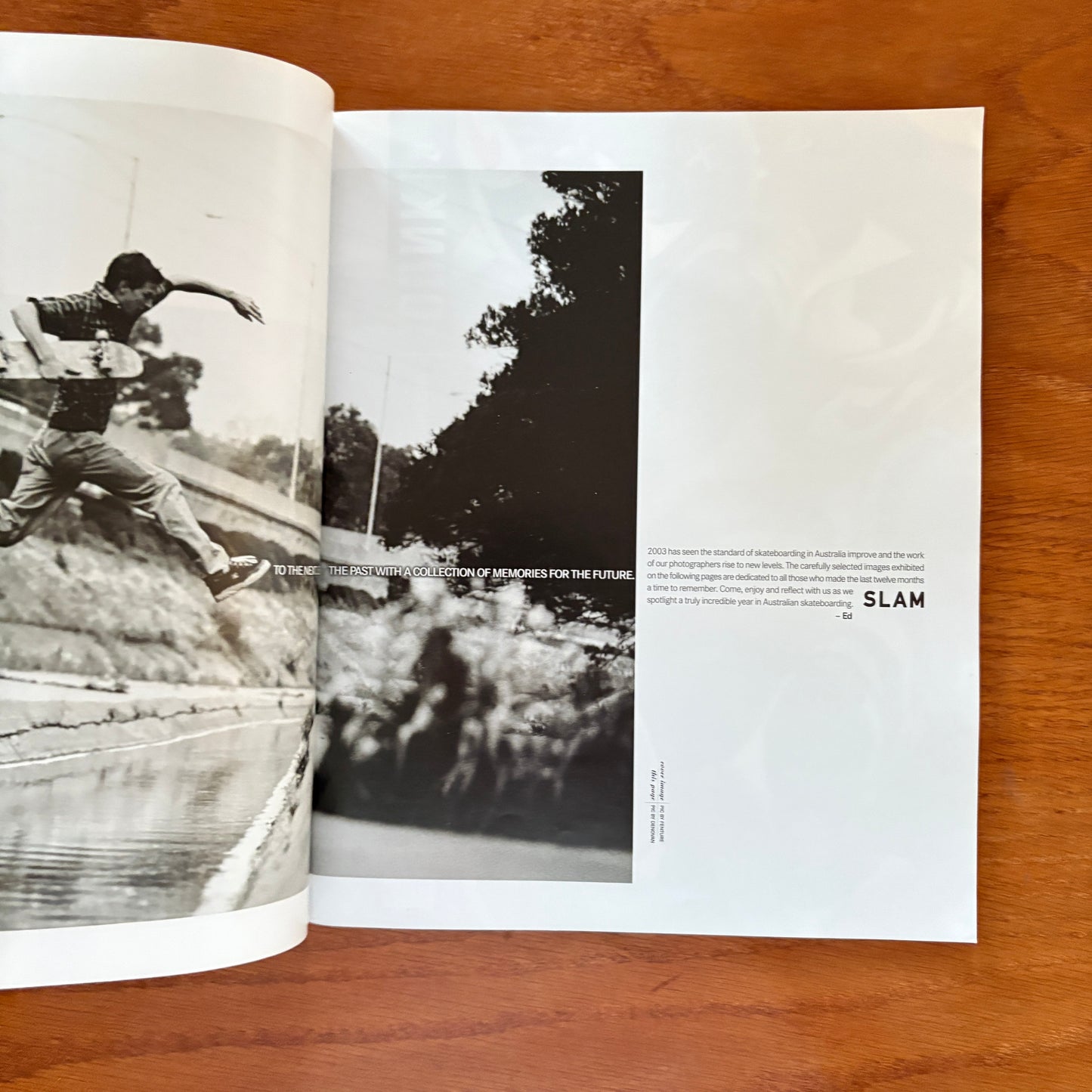 Slam Photo Annual 2004