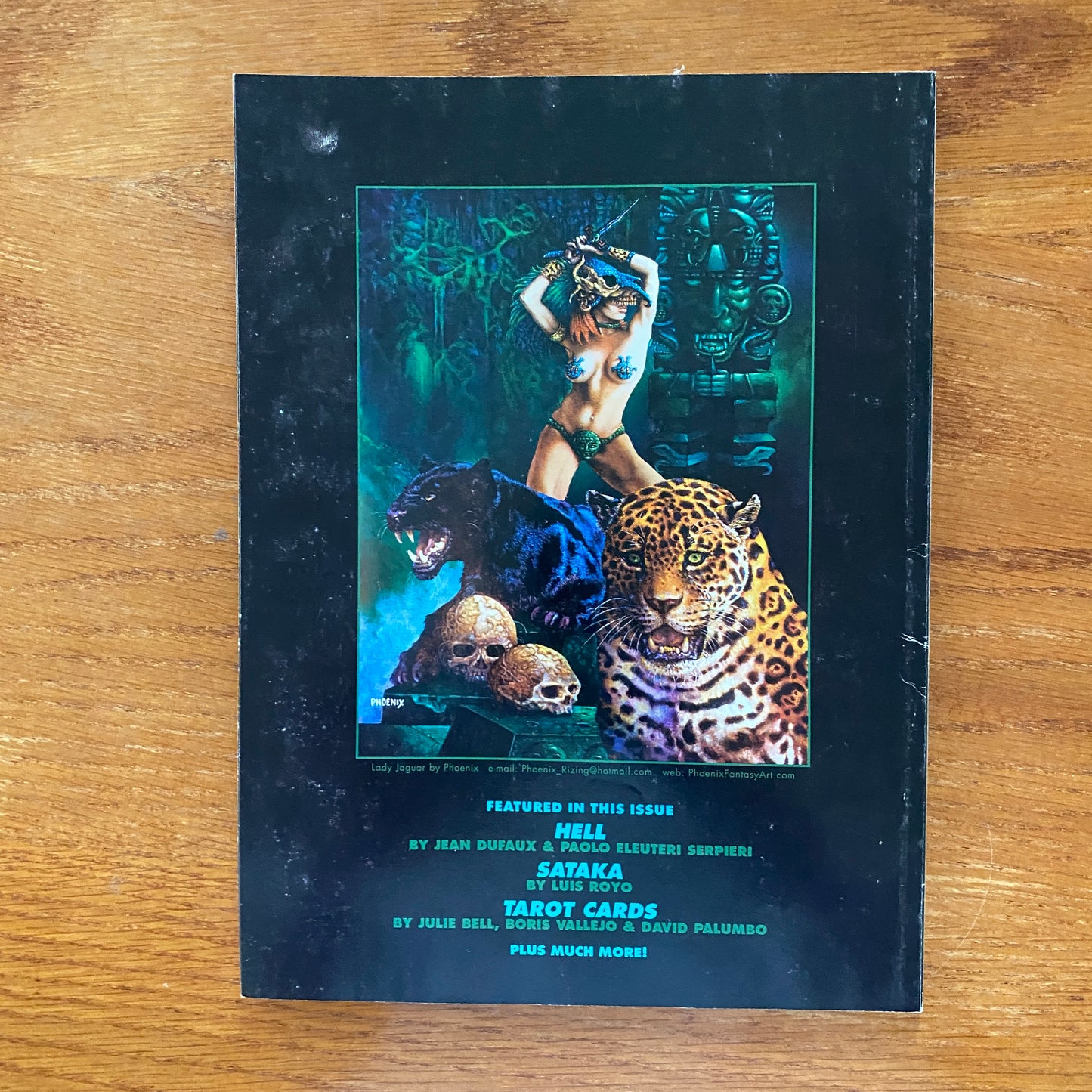 V31.6 Heavy Metal - Jan 2008