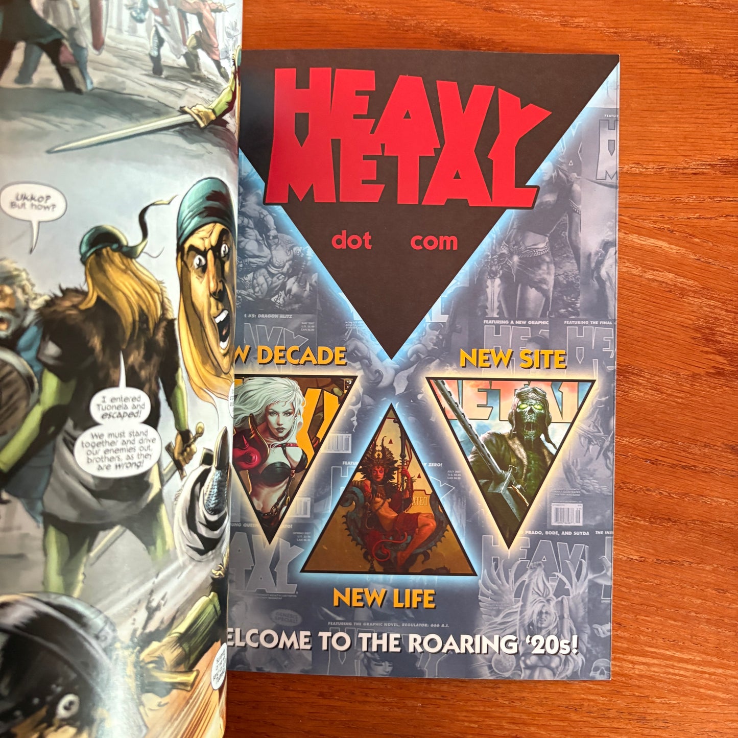 Heavy Metal 301