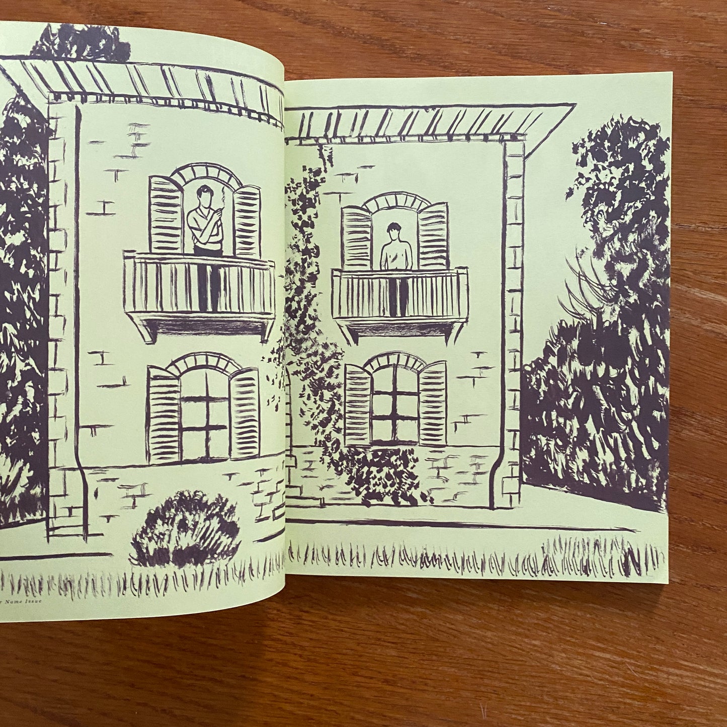 Issue 71 - Call Me by Your Name