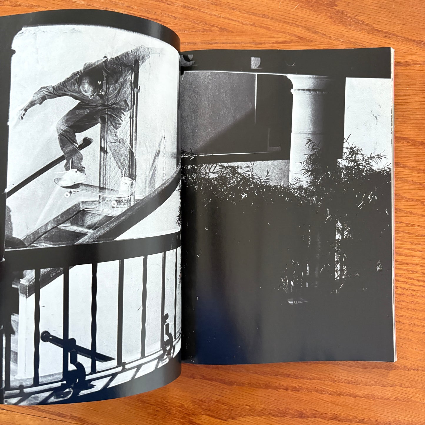 Transworld Feb 2003