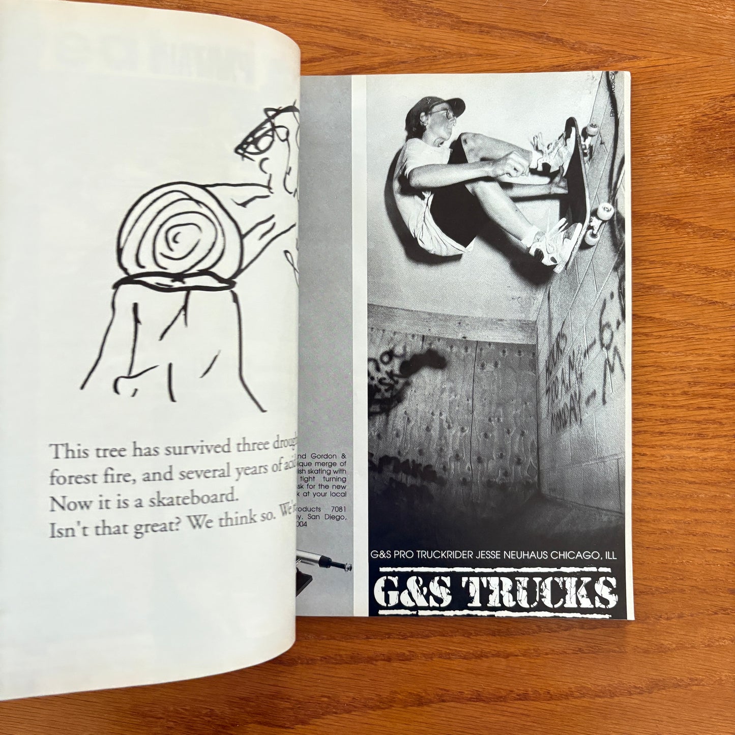 Transworld June 1990
